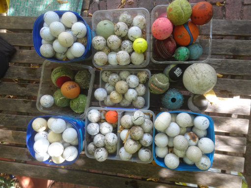 Some of the 1800 golf balls and other balls the couple have found.