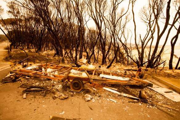The 2019-2020 summer bushfires devastated large parts of south-eastern Australia.