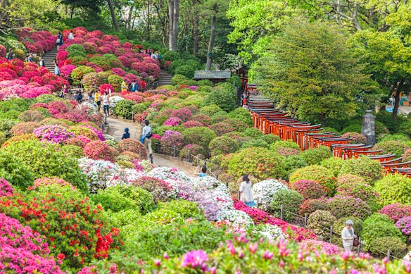 Spring comes alive in a garden in Tokyo.