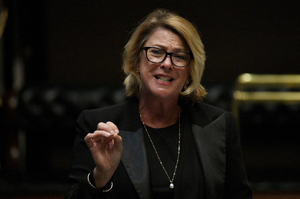 Melinda Pavey has been a member of NSW cabinet since 2019 when she was appointed minister for water, property and housing by Gladys Berejiklian. 