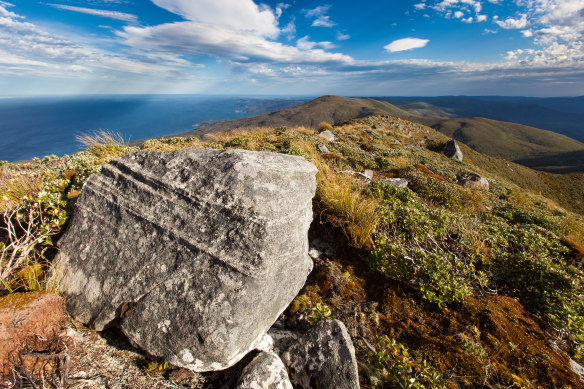 Stewart Island: heaven for hikers.