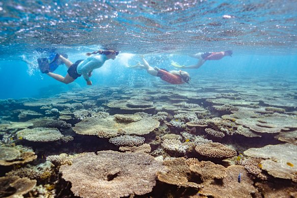 Snorkelling in Turquoise Bay.