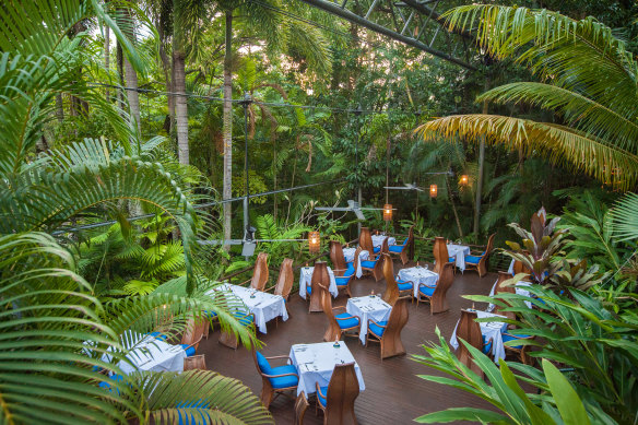 Degustation dining in a lush garden oasis setting.