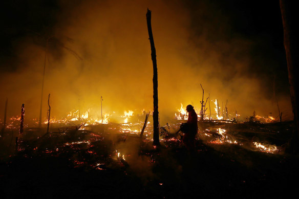 Firefighters work to put out a blaze in the Amazon forest during a drought and high temperatures in Amazonas state, Brazil, last year.