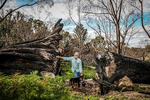 Don Cook watched as fires burnt perilously close to his Ruffy home. 