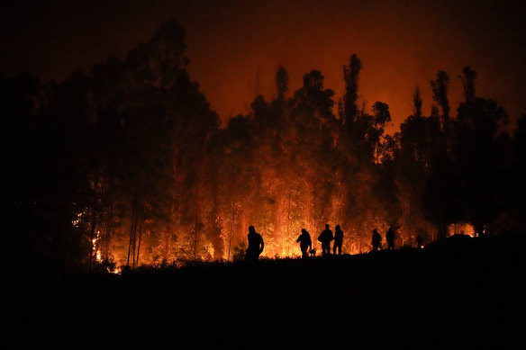 Volunteers carry supplies for firefighters near trees burning in Puren, Chile, on Saturday.