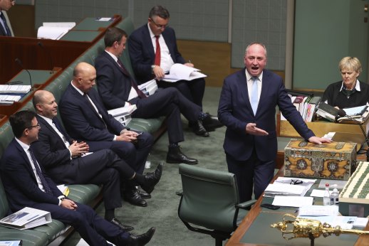 Deputy Prime Minister Barnaby Joyce during Question Time on Wednesday.