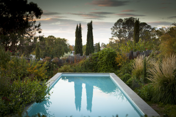The intensely cultivated space around the pool 