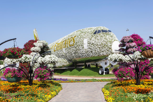 Dubai’s Miracle Garden has more than 150 million flowers.