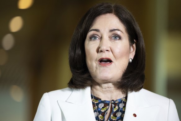 Liberal Senator Sarah Henderson has said Home Affairs secretary Mike Pezzullo stepping aside from his role during an investigation is appropriate.