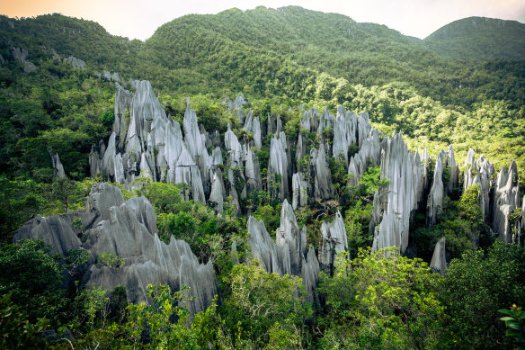 Rock pinnacles in the jungles of Sarawak.