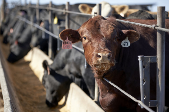 EU officials have made clear that the tariffs are aimed at products made in Republican-held states, such as beef and poultry.