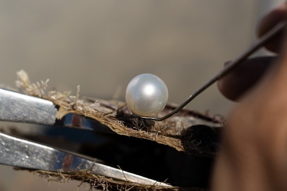 The South Sea pearls harvested here are among the world’s most valuable.