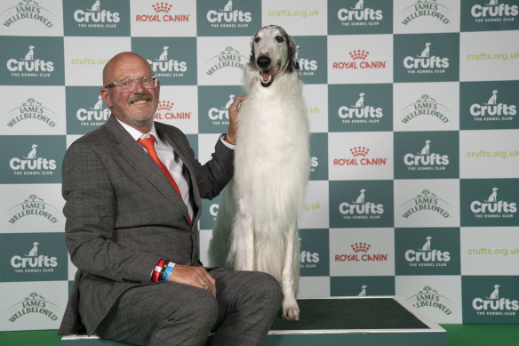 Kohl, the five-year-old Borzoi from Melbourne, won best in breed at the world famous Cruft’s dog show. He is pictured with handler Gerald Munro.