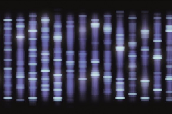DNA sequencing tells scientists the order of four chemical building blocks that make up a DNA molecule.