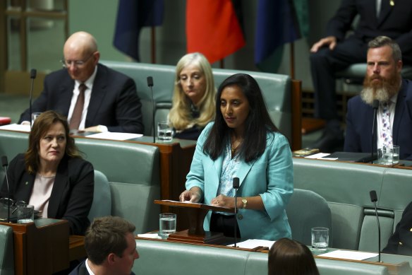 Outgoing Labor MP and Senate hopeful Michelle Ananda-Rajah.