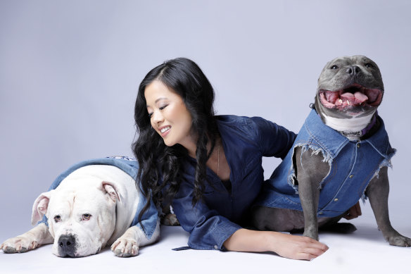 Are Sydney pets too spoiled Meet the city s most pampered pooches