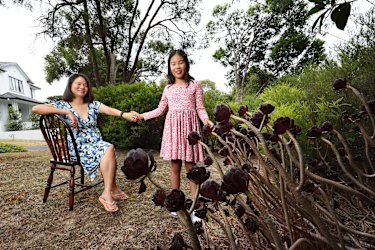 What’s your school’s track record on VCE science? Search our interactive tool to help with your school choice