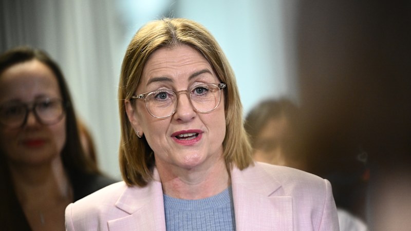 Allan stares down detractors but could be one bad poll away from spill