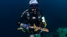 Jess Blakeway with the new species of shark, which has now been named the Dudgeon's Walking Shark.