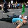 Climate change protesters 