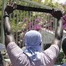A protester holds up a machete as a symbol of self-defence against gangs, during a protest in Port-au-Prince last week.