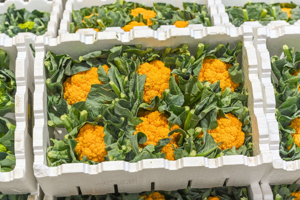 Coloured cauliflowers grown by Patsuris Produce for hospitality and specialty grocers.