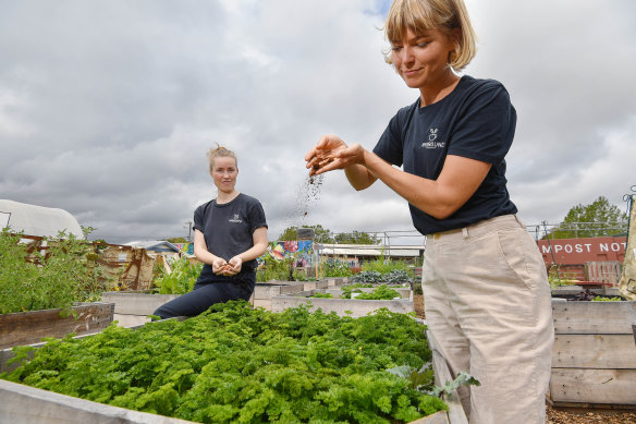 Reground founder Ninna Larsen and director Kaitlin Reid take coffee grounds collected at the Australian Open in 2020 and add them to community gardens.