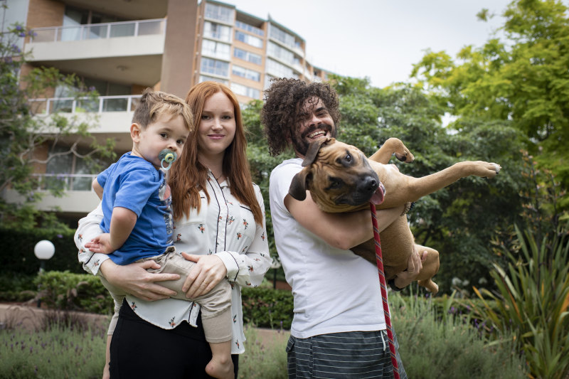 They bought a puppy for their son in lockdown. Strata did something ‘absurd’