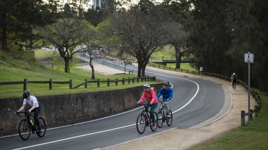Parramatta Park is glorious but increasingly compromised.