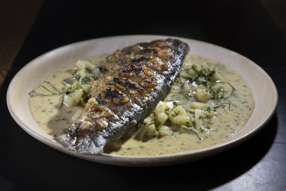 Rainbow trout with fennel and tarragon.