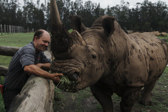 Zookeeper William Coombs, pictured with Kai the rhino, had hoped that Mogo Zoo had “dodged the bullet” for the fire season.