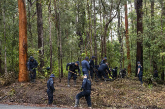 NSW Police, AFP officers and specialists search a dig site in Kendall for the remains of missing boy William Tyrrell.