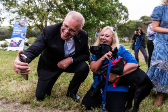 總理......在悉尼西部與協助犬追逐自拍。