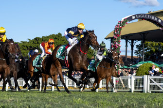 Tofane is a mare in form.