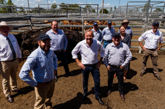 Anthony Albanese and Labor candidates are pitching to regional Queensland.