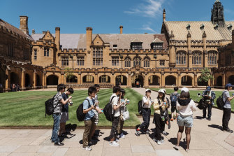 International student enrolments are holding up at elite universities.