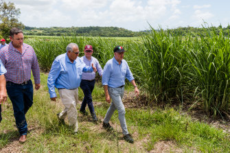 In step: Albanese with, from left, Shane Hamilton, Queensland Canegrowers chairman Paul Schembri and Senator Murray Watt at a cane farm in Mackay.