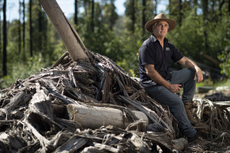 Professor David Lindenmayer, the most cited forest ecologist in the world, warns that actions in Wombat State Forest right now are increasing fire risk.