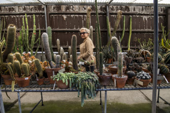 A visitor examines unique and exotic plants in glasshouses at the Royal Botanic Garden.  