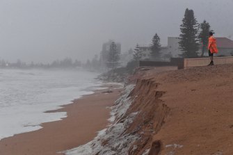 Sydney Weather Collaroy Narrabeen Beaches Suffering Significant