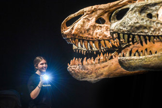 The Australian Museum's Farley Fitzgerald shines a light on two of the star exhibits.