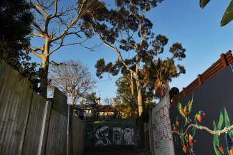 Residents of Sydney's inner west face fewer restrictions to cutting trees down on their own properties, under a new council policy. 