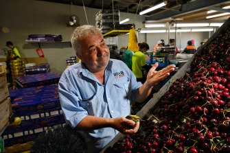 Cherry producer Guy Gaeta says the markets are well-stocked with produce.