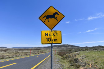 Wild horses sign on the Snowy Mountain highway. 