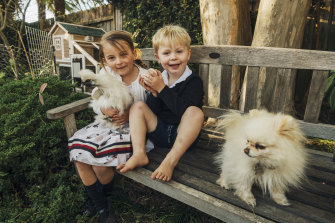 Chickens Popular Pets For City Families