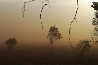 Dust storms were a regular feature of this spring across inland NSW and Queensland.