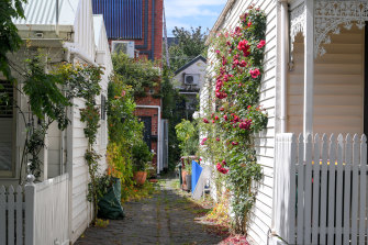 A flower-filled South Melbourne laneway.
