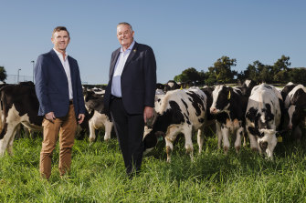 Tony Perich and his son Mark on the dairy farm of familyâ€™s Leppington Pastoral Company.