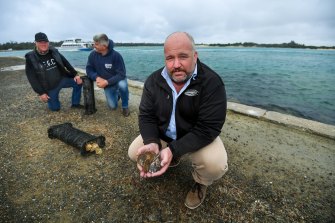 Gunaikurnai general manager on country operations Daniel Miller with oysters that will be grown in Lakes Entrance. Behind him are Steve Cooper from the Flinders Oyster Company and Craig Ingham from Victorian Fisheries Authority. 
